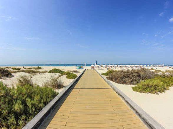 Sir Bani Yas ( Emirati Arabi)